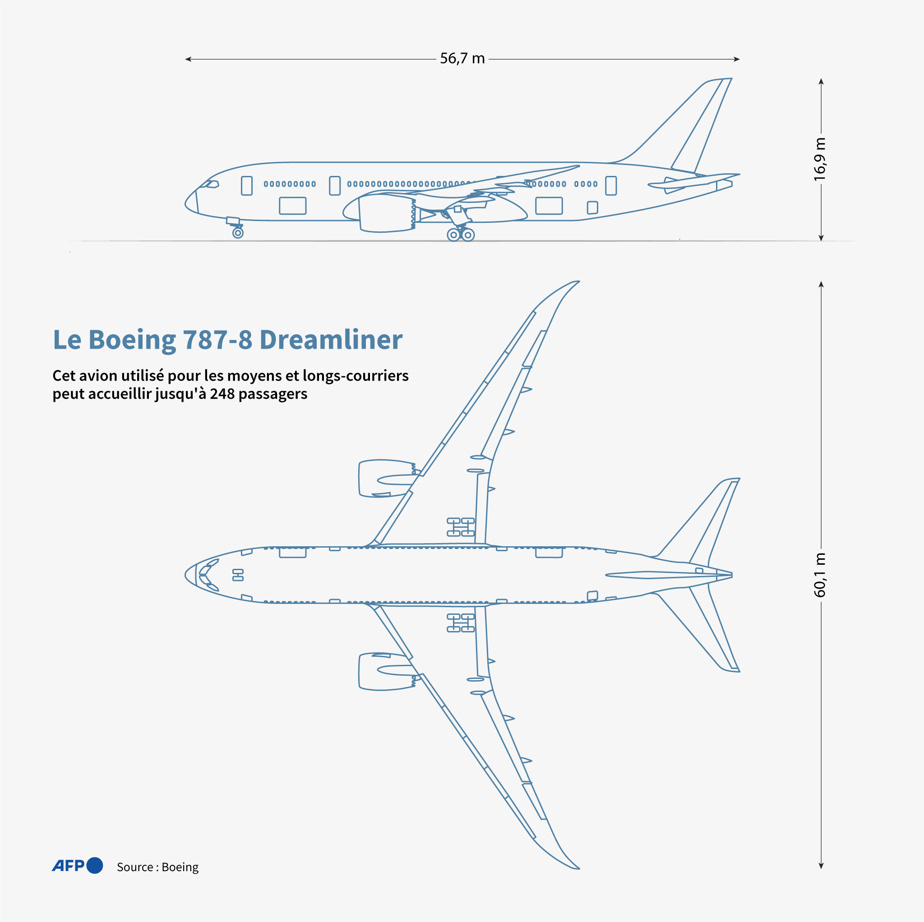 Fiche technique du Dreamliner impliqué