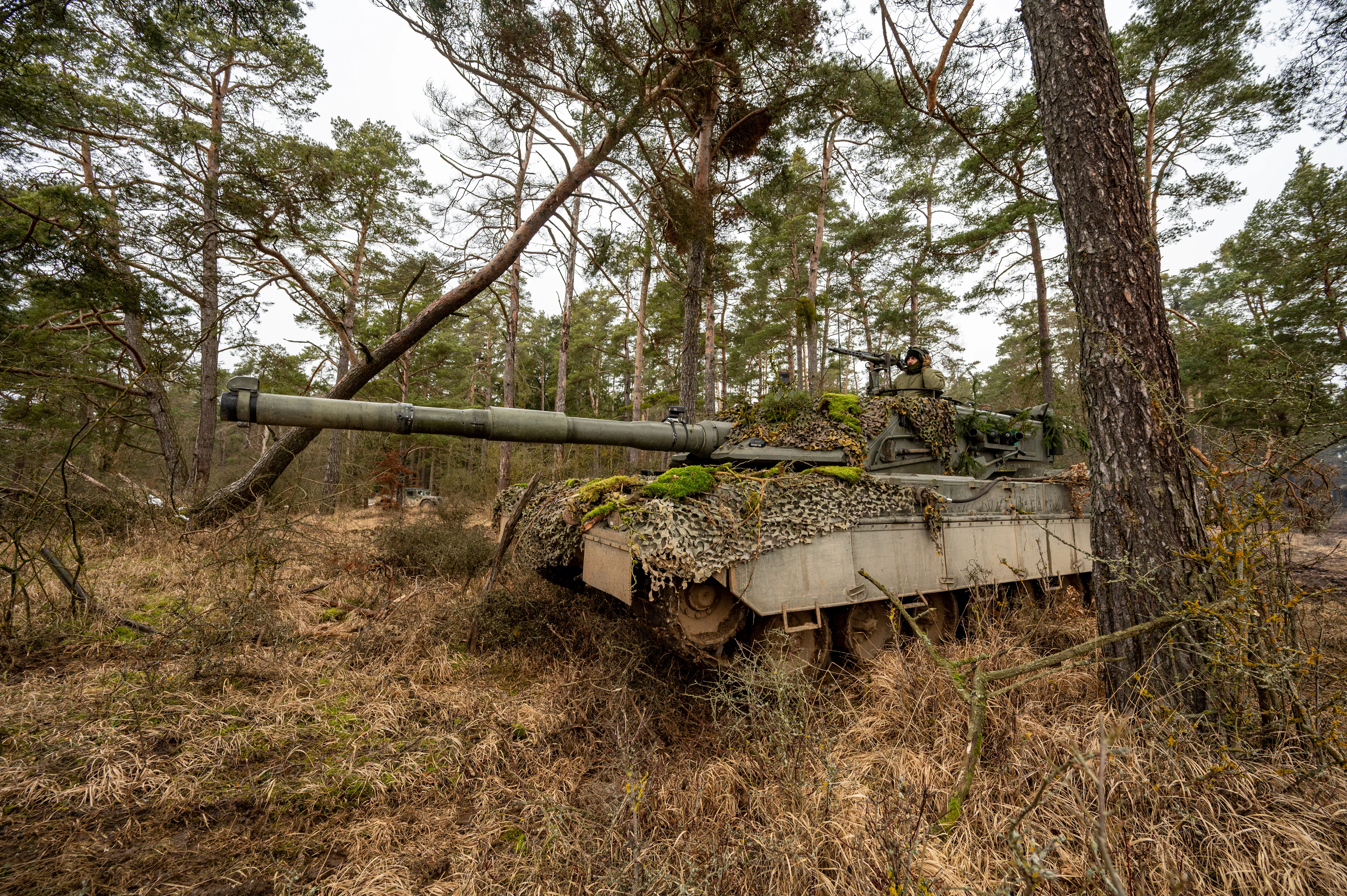 27 janvier 2022, Bavière, Hohenfels : un char de combat principal italien Ariete se trouve dans une zone boisée lors de l